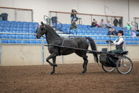 2019 Morgan Horse Show - Aug 31, 2019 - 04630