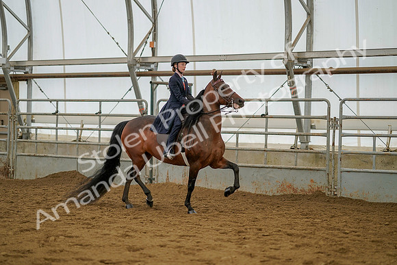 July 20, 2019 - 03908