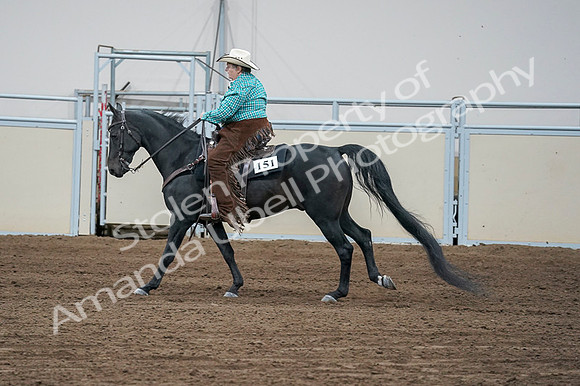 2020 - AB Morgan Horse - Fri, Sept 04 - 00480