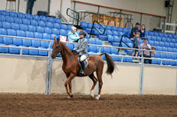 2020 - AB Morgan Horse - Fri, Sept 04 - 02946