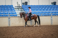 2019 Morgan Horse Show - Aug 30, 2019 - 22699