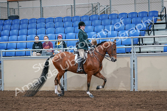2020 - AB Morgan Horse - Sat, Sept 05 - 05183