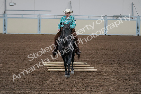 2020 - AB Morgan Horse - Fri, Sept 04 - 00524