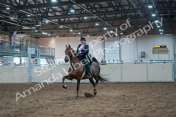2021 - Alberta Charity Horse Show - Fri, July 09 - 14786