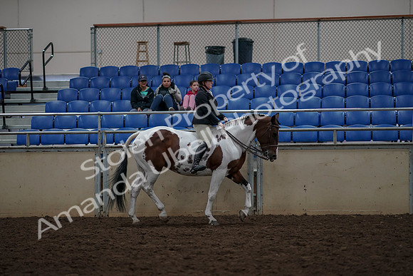 2019 Morgan Horse Show - Aug 30, 2019 - 31418