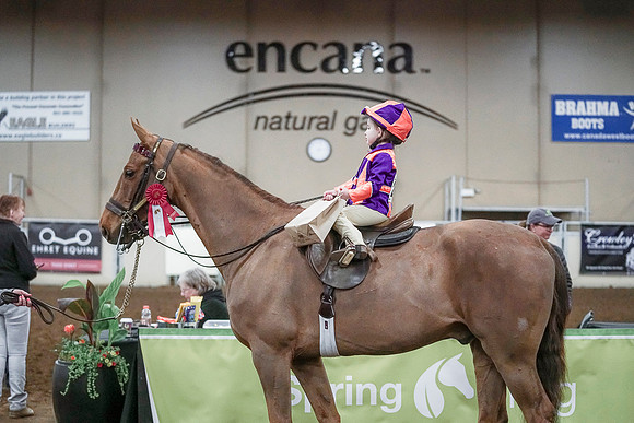 Spring Fling - Saturday - April 20, 2019  -  00184