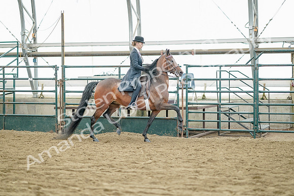 July 21, 2019 - 12241