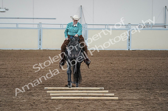 2020 - AB Morgan Horse - Fri, Sept 04 - 00636