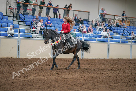 2020 - AB Morgan Horse - Sat, Sept 05 - 10453
