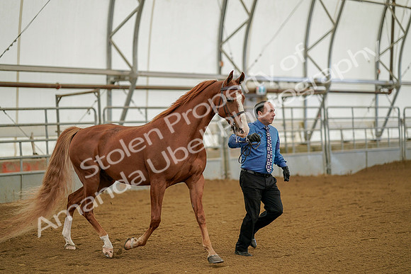 July 19, 2019 - 893