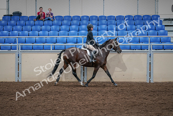 2020 - AB Morgan Horse - Sat, Sept 05 - 05132