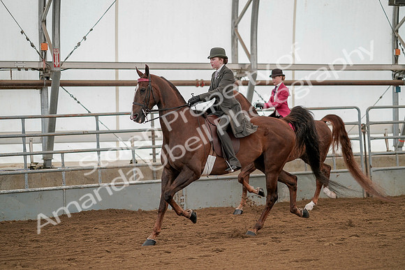 July 20, 2019 - 02206