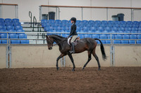 2019 Morgan Horse Show - Aug 31, 2019 - 06309