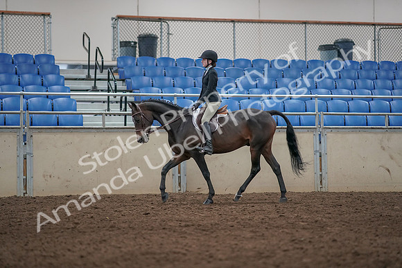 2019 Morgan Horse Show - Aug 31, 2019 - 06309