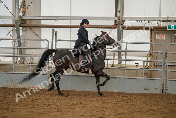 July 20, 2019 - 04523