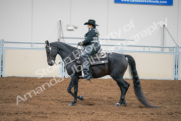 2020 - AB Morgan Horse - Sat, Sept 05 - 08966