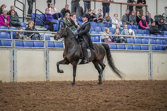 Spring Fling - Saturday - April 20, 2019  -  04297