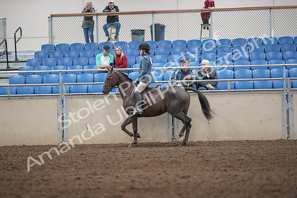 2019 Morgan Horse Show - Aug 31, 2019 - 07210