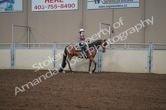 2019 Morgan Horse Show - Aug 30, 2019 - 26143