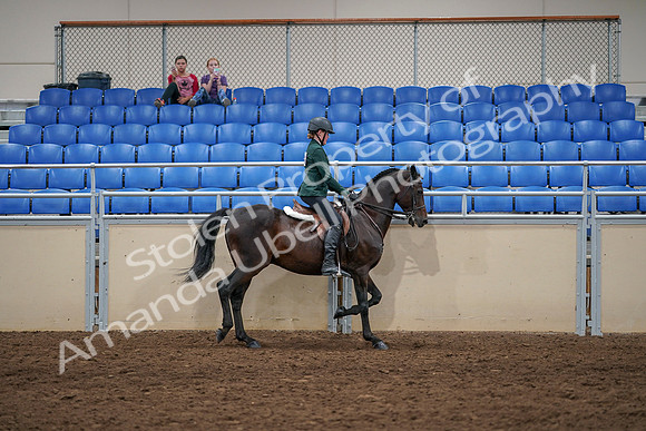 2020 - AB Morgan Horse - Sat, Sept 05 - 05056