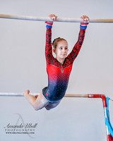 Fort Sask Gymnastics 2019 - Feb 17, 2019 - logo - 04409
