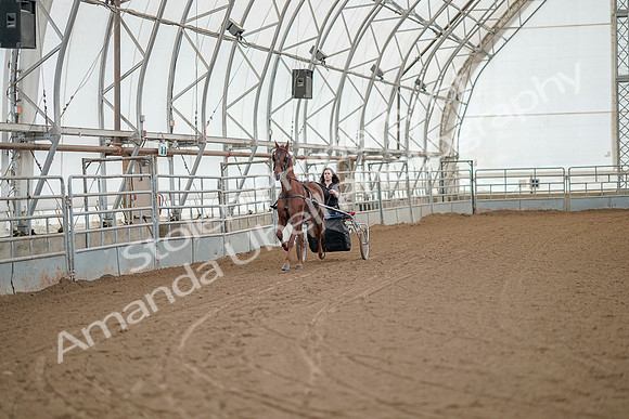 July 20, 2019 - 04912