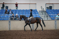 2019 Morgan Horse Show - Aug 31, 2019 - 08048