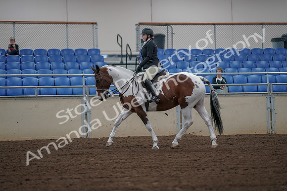 2019 Morgan Horse Show - Aug 30, 2019 - 14924