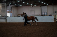 2019 Morgan Horse Show - Aug 30, 2019 - 25525