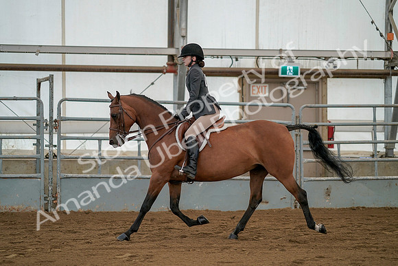 July 19, 2019 - 2529