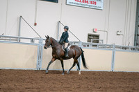 2020 - AB Morgan Horse - Sat, Sept 05 - 04959