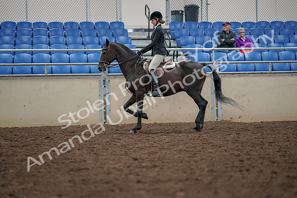 2019 Morgan Horse Show - Aug 30, 2019 - 20339