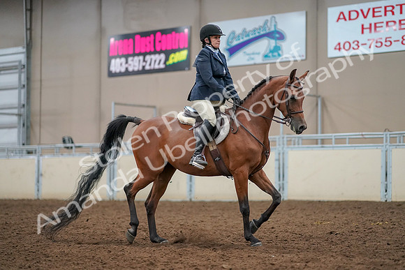 2019 Morgan Horse Show - Aug 30, 2019 - 22592