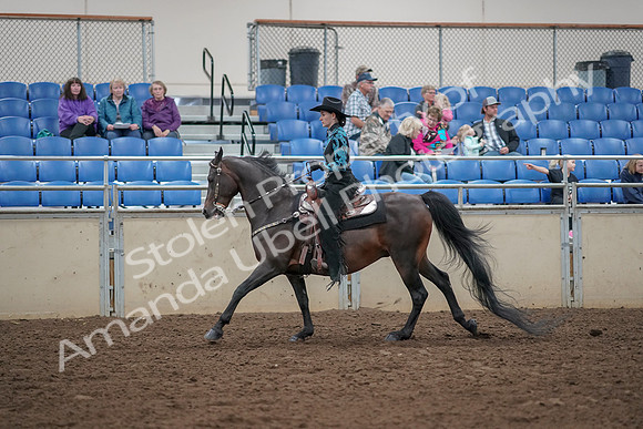 2019 Morgan Horse Show - Aug 30, 2019 - 26083