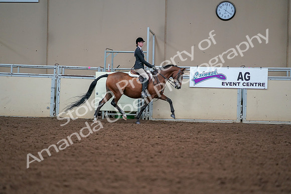 2019 Morgan Horse Show - Aug 30, 2019 - 20921