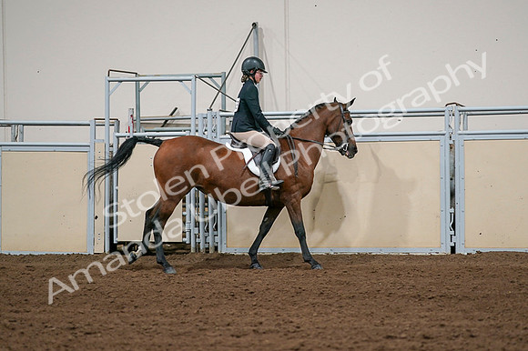 2020 - AB Morgan Horse - Fri, Sept 04 - 02101