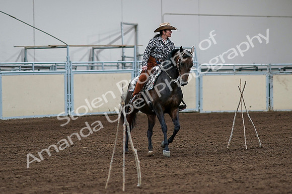 2020 - AB Morgan Horse - Fri, Sept 04 - 00344