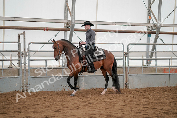 July 19, 2019 - 5294