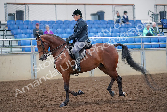 2019 Morgan Horse Show - Aug 30, 2019 - 20568