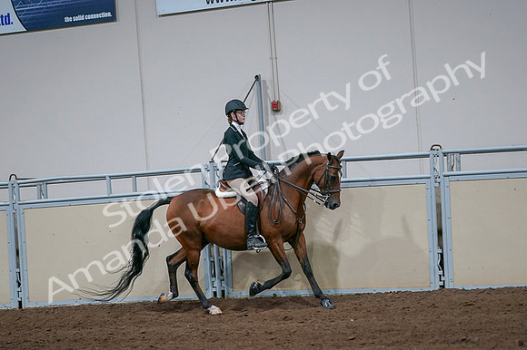 2020 - AB Morgan Horse - Fri, Sept 04 - 06006
