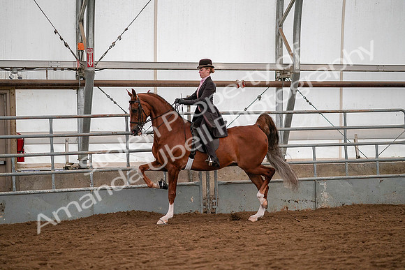 July 19, 2019 - 10339