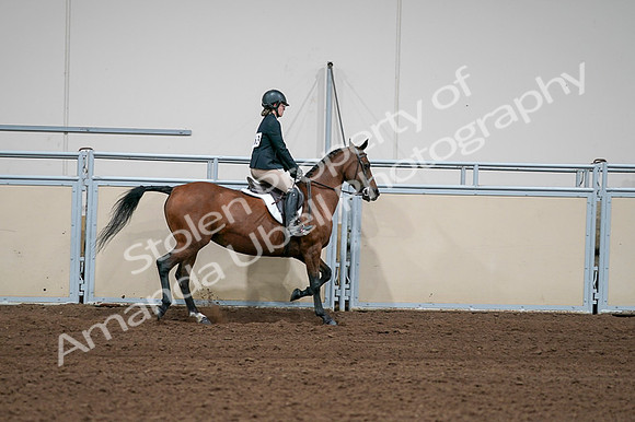 2020 - AB Morgan Horse - Fri, Sept 04 - 02142