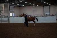 2019 Morgan Horse Show - Aug 30, 2019 - 25527