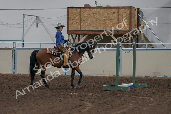 2020 - AB Morgan Horse - Fri, Sept 04 - 00247