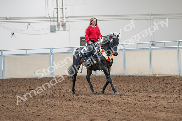 2020 - AB Morgan Horse - Sat, Sept 05 - 10488