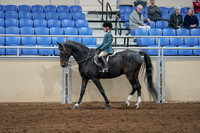 2020 - AB Morgan Horse - Fri, Sept 04 - 07735