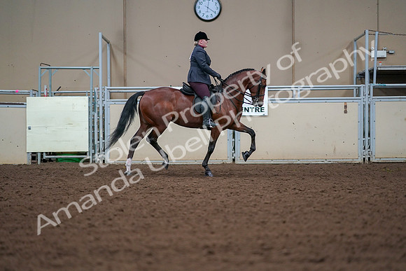 2019 Morgan Horse Show - Aug 30, 2019 - 20703