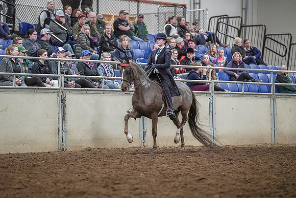 Spring Fling - Saturday - April 20, 2019  -  04273