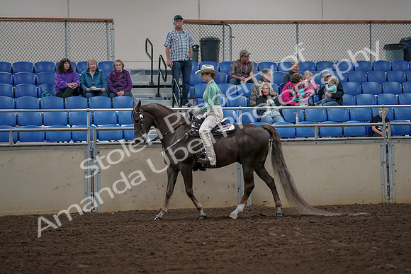 2019 Morgan Horse Show - Aug 30, 2019 - 25938