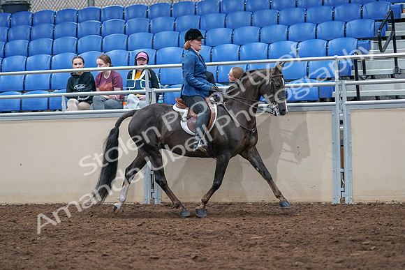 2020 - AB Morgan Horse - Sat, Sept 05 - 05211